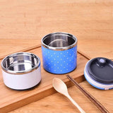 2 Layer Japanese Stainless Steel Insulated Bento Box - Pkwebstore