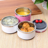 2 Layer Japanese Stainless Steel Insulated Bento Box - Pkwebstore