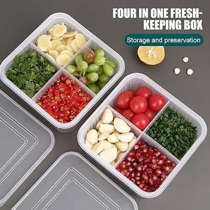 4 Partition Multipurpose Kitchen Drainer Box With Lid - Pkwebstore