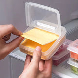 Cheese Storage Box - Pkwebstore