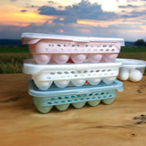 Irani Egg box 15Grids - Pkwebstore