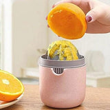 Manual Fruit Juicer - Pkwebstore