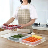 Plastic Food Storage Box With Lid - Pkwebstore