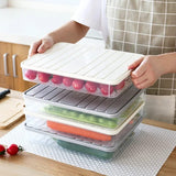 Plastic Food Storage Box With Lid - Pkwebstore