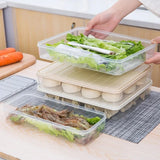 Plastic Food Storage Box With Lid - Pkwebstore