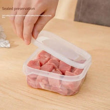 Refrigerator Frozen Meat Preservation Box, Freezer Storage Box - Pkwebstore