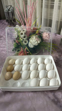 24 Egg Storage Container - Pkwebstore