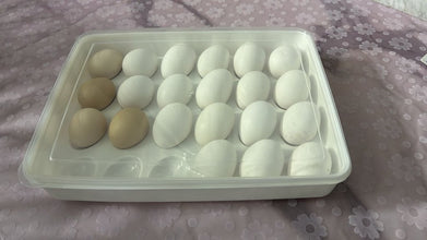 24 Egg Storage Container - Pkwebstore