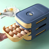 Egg Storage Box - Pkwebstore - Extra space for eggs - Pkwebstore