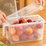 Fridge Box (1 Pc) - Pkwebstore