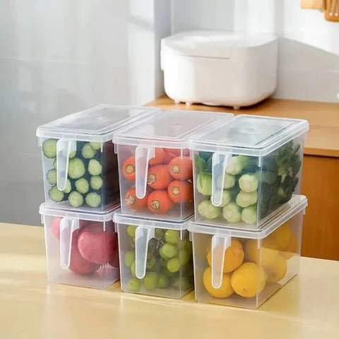 Fridge Box (1 Pc) - Pkwebstore