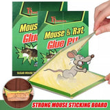 Reusable Expert Catch Mouse & Rat Glue Catch Trap - Pkwebstore