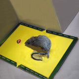 Reusable Expert Catch Mouse & Rat Glue Catch Trap - Pkwebstore