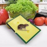 Reusable Expert Catch Mouse & Rat Glue Catch Trap - Pkwebstore